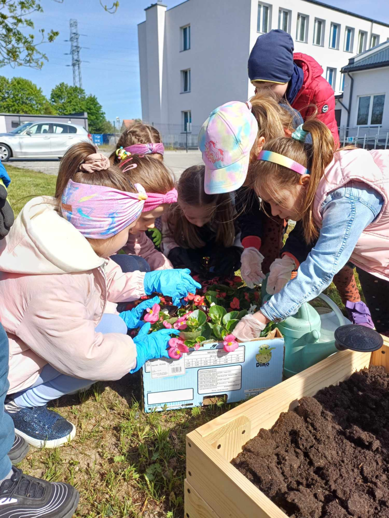 Na zdjęciu przedszkolaki podczas sadzenia kwiatków.